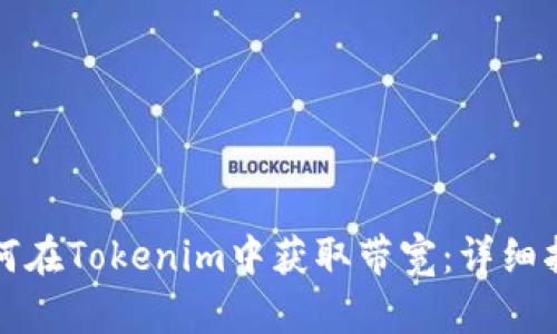 如何在Tokenim中获取带宽：详细指南