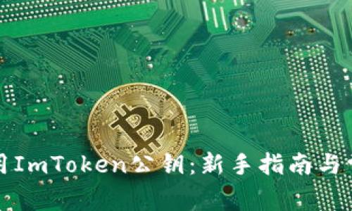 如何安全使用ImToken公钥：新手指南与常见问题解答
