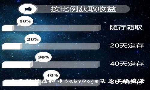  全面解析虚拟币BabyDoge及其市场前景