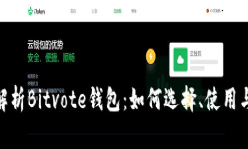 : 全面解析Bitvote钱包：如何选择、使用与安全性