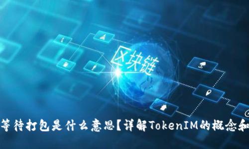 TokenIM等待打包是什么意思？详解TokenIM的概念和使用指南