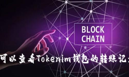 别人可以查看Tokenim钱包的转账记录吗？