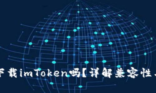  苹果6能下载imToken吗？详解兼容性与使用体验