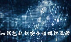 Tokenim钱包私钥安全性探讨
