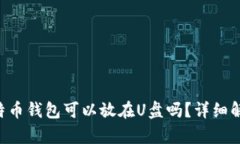 比特币钱包可以放在U盘吗