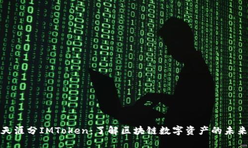 天涯分IMToken：了解区块链数字资产的未来
