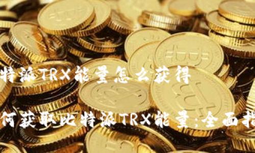比特派TRX能量怎么获得

如何获取比特派TRX能量：全面指南
