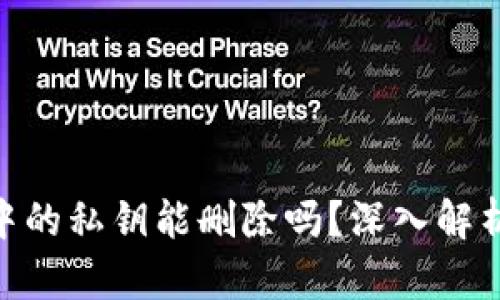 Tokenim钱包中的私钥能删除吗？深入解析与安全性考量