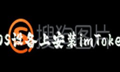 : 如何在iOS设备上安装im