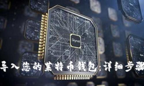 : 如何导入您的莱特币钱包：详细步骤与技巧