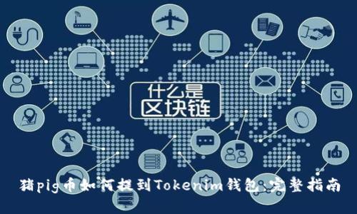 猪pig币如何提到Tokenim钱包：完整指南