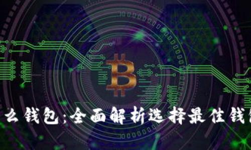 XRP用什么钱包：全面解析选择最佳钱包的指南