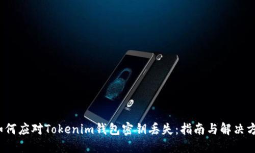  如何应对Tokenim钱包密钥丢失：指南与解决方案