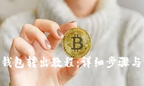 Tokenim钱包转出教程：详细步骤与注意事项