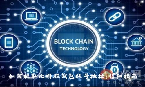 如何提取比特股钱包账号地址：详细指南