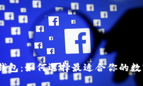 Token Packet钱包：如何选择最适合你的数字资产管理工具