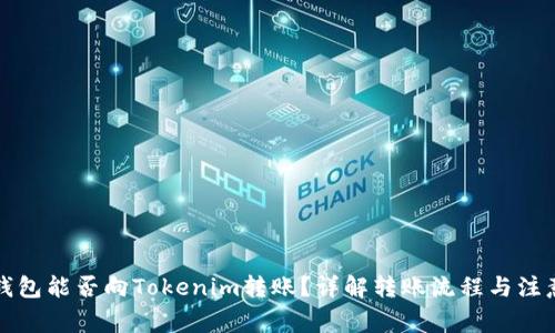 其他钱包能否向Tokenim转账？详解转账流程与注意事项