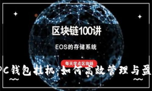 PPC钱包挂机：如何高效管理与盈利