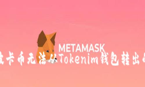 如何解决波卡币无法从Tokenim钱包转出的常见问题