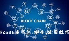 : 深入了解Hcash币钱包：安