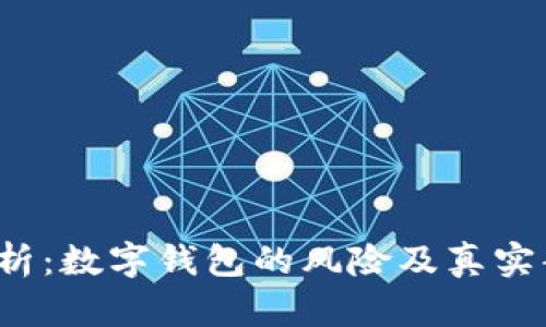  深入解析：数字钱包的风险及真实案例分析