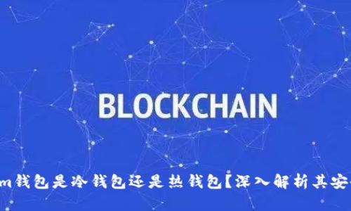 : Tokentokenim钱包是冷钱包还是热钱包？深入解析其安全性与使用场景