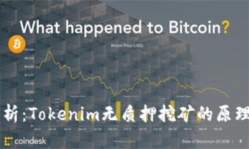 深入解析：Tokenim无质押挖矿的原理与应用