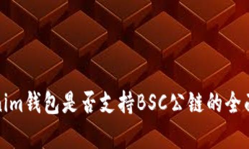 Tokenim钱包是否支持BSC公链的全面解析