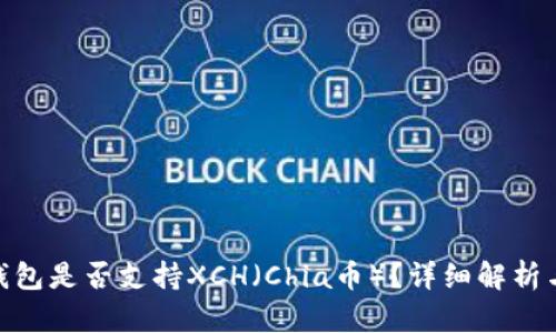 imToken钱包是否支持XCH（Chia币）？详细解析与使用指南