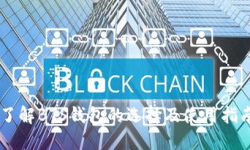 了解BTS钱包的选择及使用指南