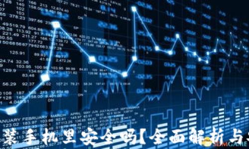 
tokenim装手机里安全吗？全面解析与安全建议