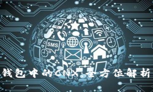 : imToken钱包中的CNX：全方位解析及使用指南