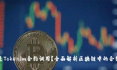 什么是Tokenim合约调用？全面解析区块链中的合约功能