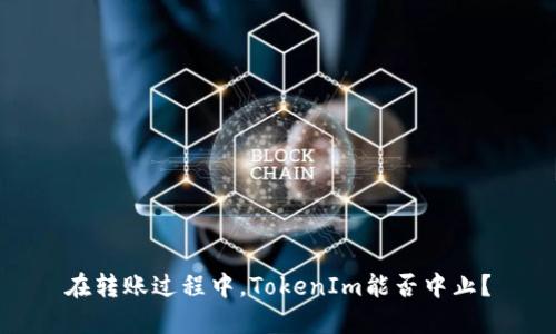 在转账过程中，TokenIm能否中止？