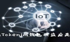 在国内TokenTokenim钱包被盗