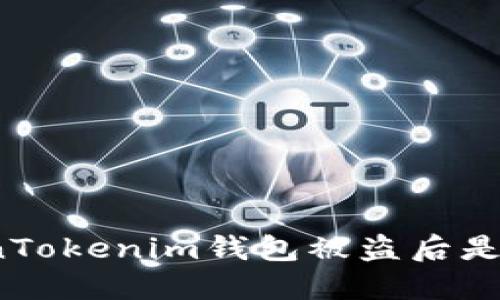 在国内TokenTokenim钱包被盗后是否可以追回？