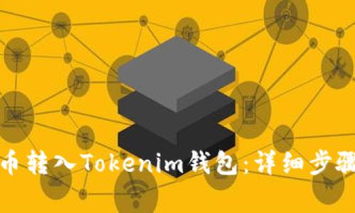如何将狗狗币转入Tokenim钱包：详细步骤与注意事项