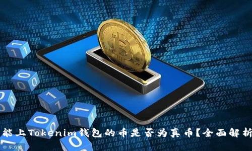 能上Tokenim钱包的币是否为真币？全面解析