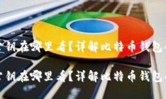 比特币钱包公钥在哪里看