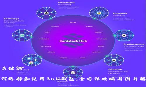 和关键词

如何选择和使用Bull钱包：全方位攻略与图片解析