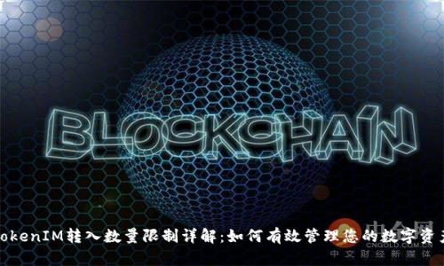 TokenIM转入数量限制详解：如何有效管理您的数字资产