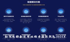 如何选择和使用比特币国