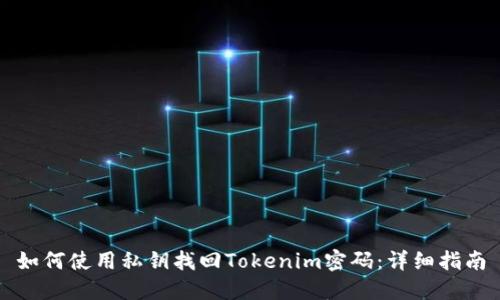 如何使用私钥找回Tokenim密码：详细指南