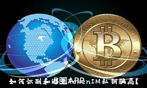   
如何识别和避免TokenIM私钥骗局？