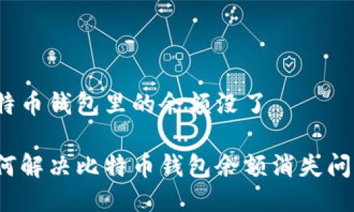 比特币钱包里的余额没了

如何解决比特币钱包余额消失问题？