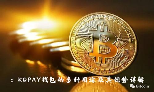 : KDPAY钱包的多种用途及其优势详解