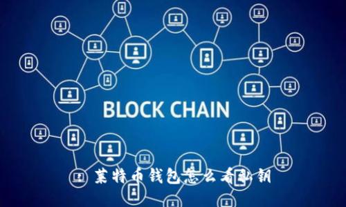 : 莱特币钱包怎么看私钥