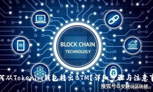 如何从Tokenim钱包转出BTM？详细步骤与注意事项