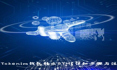 如何从Tokenim钱包转出BTM？详细步骤与注意事项