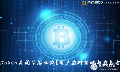 imToken关闭了怎么办？用户应对策略与应急方案